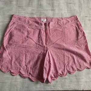 🌻Pink Seersucker shorts🌻(09)
